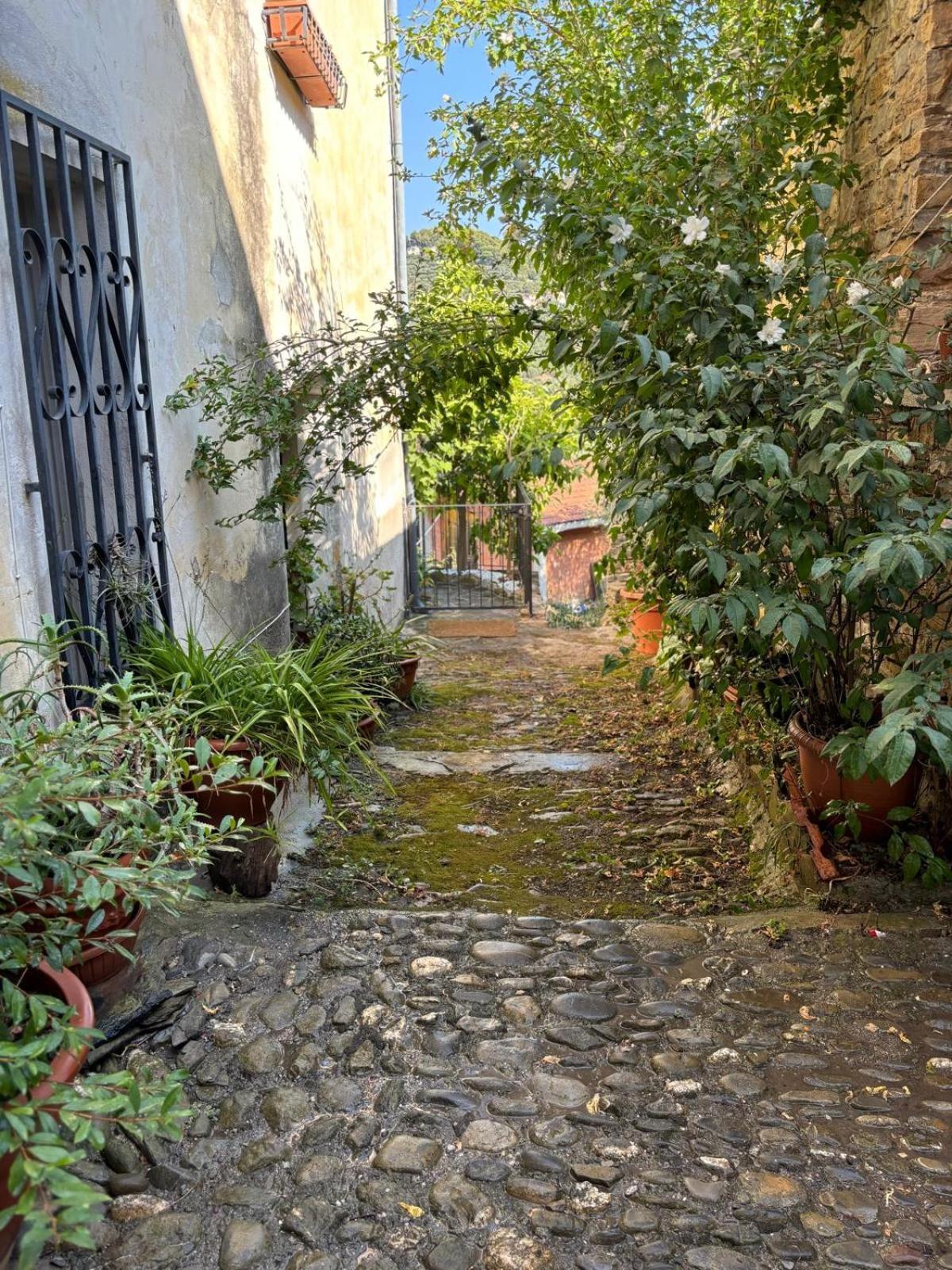 Casa Relax, Un Uliveto Sul Mare. Vila Diano San Pietro Exterior foto